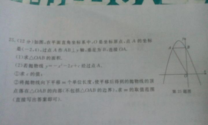 谁说高处不胜寒,少年得志且轻狂猜一肖警惕虚假宣传、全面解答与解释、详细解答解释落实