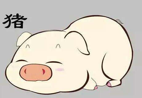 骂狗打鸡猪在笑三心两意不成气是什么生肖的警惕虚假宣传-实证解答解释落实